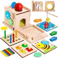 RIANEAN 8-in-1 Montessori Wooden Toy Set for Babies - Shape Sorter, Coin Box, Object Permanence Box 