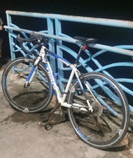 TrinX tempo 1.0 公路車 單車 入門