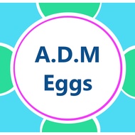 A.D.M - EGGS (Out of Game) GAME IN TYPE E1 Edition (PC GAME)