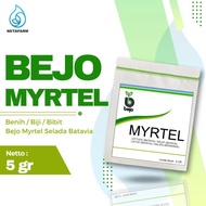 Promo / Terlaris Benih / Biji / Bibit BEJO MYRTEL Selada Batavia -