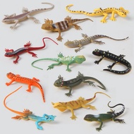 Simulation Lizard Model Toy 20 Colorful Lizard Chameleon Gecko Insect Cognitive Models GYGM
