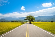 台東．鐵道旅遊台鐵兩人成行｜金崙溫泉．單車遊池上伯朗大道．加路蘭遊憩區．三仙台風景區三日｜南高屏出發