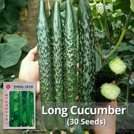 เมล็ดพันธุ์แตงกวา เมล็ดแตงกวาญี่ปุ่น บรรจุ 30 เมล็ด Japanese Cucumber Seed Vegetable Seeds เมล็ดแตงก