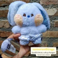 Bunini NewJeans Plush Merch | Haerin Version | Bunini NewJeans Doll