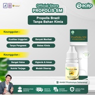 100% Original SM Brazilian Propolis With Nano Technology Herbal Without Side Effects 6 BPOMML