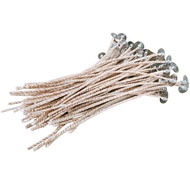 -🔥Ready Stock🔥10pcs (4.3cm-7cm) ECOs Series Candle Wick With Metal Sustainer Smokeless Wick For Scen