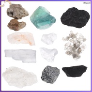 Household Decoration Mineral Identification Kit Geology for Kids Decorative Stone  dliyuan