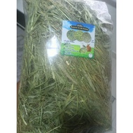 TIMOTHY HAY IMPORTED (1KG)