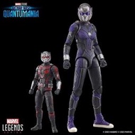 全新現貨 Marvel Legends 蟻人與黃蜂女 量子狂熱 蟻人3 征服者 7+1 BAF 凱西