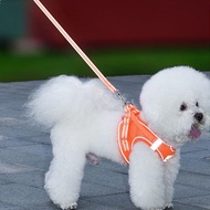 Vest-style harness for Bichon Frize dogs walking on small and medium sized Corgi leash