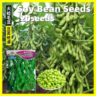 Green Soybean Edamame Seeds for Planting - 100% Fresh 20 Seeds Benih Kacang Soya Hijau 毛豆种子 Soya Bea