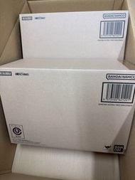 日版全新 METAL BUILD ASTRAY RED DRAGONICS 紅龍 萬代 紅異端高達紅龍尼克斯模型