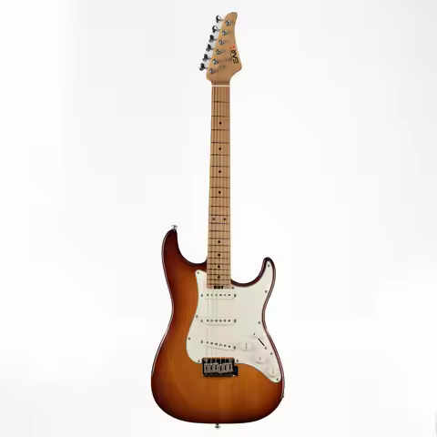 Eart Guitars NK-VS60 Roasted Book-match Mahogany Body 2-Point Synchronized Tremolo Bridge Electric G