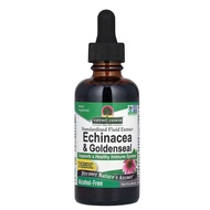 Nature's Answer, Echinacea & Goldenseal, Standardized Fluid Extract, Alcohol-Free, 2 fl oz (60 ml)