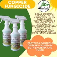 Woodside/Starx Liquid Copper Fungicide prevents & controls peach leaf curl pwderymilde black spot ru