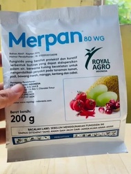 Fungisida sistemik MERPAN 80WG Buat tanaman padi tomat bawang merah