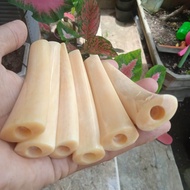 once pipa rokok tulang iga duyung Cristal model oval super