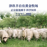 Yanchitan Sheep Golden Diamond Light Luxury Gift Box Gift Card Pickup Card Shopping Card Scratch Car