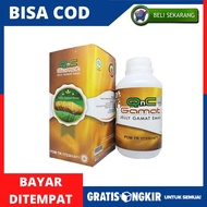 Qnc Jelly Gamat Obat Pencahar Bab Anak Obat Susah Buang Air Besar Untuk Anak Konstipasi Obat Bab Lan