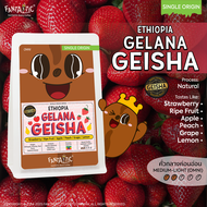 เมล็ดกาแฟ Ethiopia Gelana Gesha (คั่วกลางอ่อน) FANTASTIC Beans Coffee