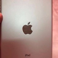 iPad Mini2  32GB