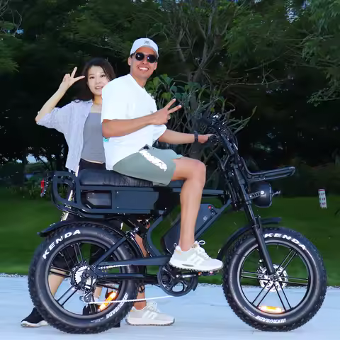 250w X90MAX E Bike Adult Steel Electric Bike Alloy Frame Material Beach Cruiser Fat X90 MAX Electric