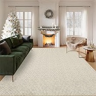 COZYLOOM Washable Area Rugs 5x7 Rug for Living Room Non Slip Modern Solid Rug Soft Area Rug for Bedr