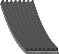 Blue Print AD08R1225 8 Ribbed Belt