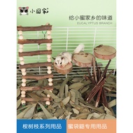 Honey Glider Eucalyptus Branch De-Pollen Odor Bedding Molar Snacks Eucalyptus Honey Jumping Platform