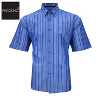 Pacolino Colour Stripe Formal Casual Short Sleeve Men Shirt Regular - Light Blue 11621-S0018-H