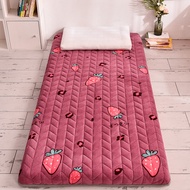5cm Mattress Floor Mat Milk Velvet Foldable Slow Rebound Tatami Cotton Cover Bedspreads Pad