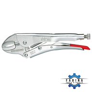 Kìm kẹp Knipex 41 04 250