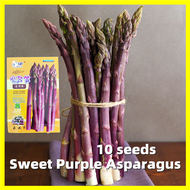 Sweet Purple Asparagus Seed - 10 Seeds Benih Asparagus Hasil Tinggi 紫芦笋种子 Mary Washington Asparagus 