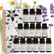 Top 14 Essential Oil Set 100% Pure Aromatherapy Oil (Jasmine, Sandalwood, Chamomile, Eucalyptus, Vetiver, Lavender, Tea Tree, Lemongrass, Vanilla, Ylang-Ylang, Bergamot, Camphor, Grapefruit, Myrrh)