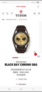 Tudor Black Bay Chrono S&G