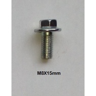 ATV M8x1.25-15mm Fine Thread Bolt and Nut