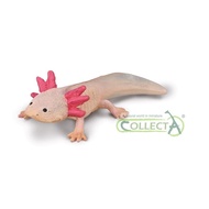 CollectA 80015 Wildlife Model - Axolotl Model Toy