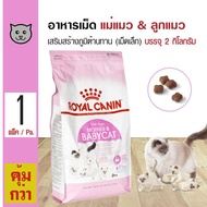 Royal Canin Mother &amp; Babycat 2 Kg. อาหารแมว เม็ดเล็ก ช่วยเสริมสร้างภูมิต้านทาน สำหรับแม่แมว ลูกแมว (2 กิโลกรัม/ถุง)