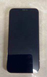 iPhone 12 Pro Max 256g