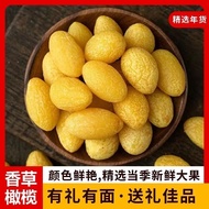 Chinese Nine made yellow olives 50g licorice20250421