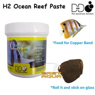 D-D H2Ocean Pro + Reef Paste DD H2Ocean Pro 270g Copper Band Food 蝴蝶鱼饲料