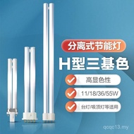Philips H-Type Daylight Mentol Penjimatan Tenaga Sisipan Empat Pin Mendatar Tiub Berkembar Tiga Warn