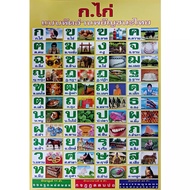 โปสเตอร์ แบบ ฝึกหัด เด็ก กขค ABC ตัวเลข และ อื่นๆ รูป ภาพ ติดผนัง สวยๆ poster 34.5x23.5นิ้ว(88x60ซม.