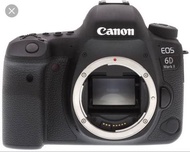 Canon eos 6d mark 2 body