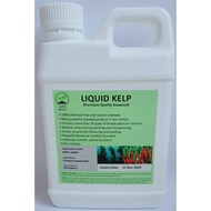 Organic Seaweed Fertilizer for Plants Liquid Kelp concentrated fertilizer Australian technology 1 li
