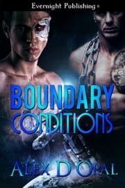 Boundary Conditions Alex D Opal