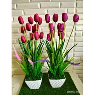 pokok hiasan dalam rumah✫【Ready Stock】 ✫hiasan rumah✫ Bunga Tulip