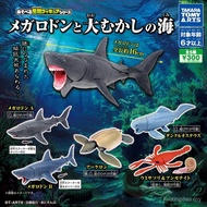 TOMY TOMY Capsule Toy Ancient Sea Life Movable Shark Megalodon Ancient Megalodon Dun's Fish Sea Scor