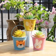 Cartoon Succulent Small Flower Pot Mini Thumb Iron Art Flowerpot Succulent Flowerpot decoration Gardening Flowerpot
