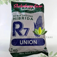 Benih Jagung Hibrida R7 Union kemasan 1kg